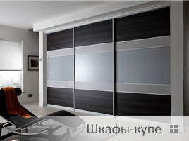 альт портфолио шкафы